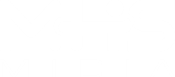 logo mhs br